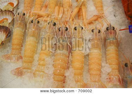 Prawns on Ice 