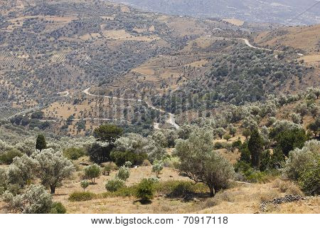Amari Valley In Crete With Trees And Road. Greece