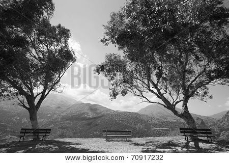 Amari Valley In Crete With Trees And Benches. Greece
