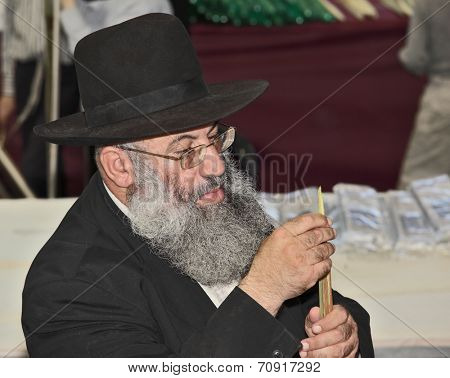 BNEY-BRAK, ISRAEL - SEPTEMBER 17, 2013: Big market on the eve of the Jewish holiday of Sukkot. The  elderly man with gray-haired beard and in hat chooses a myrtle