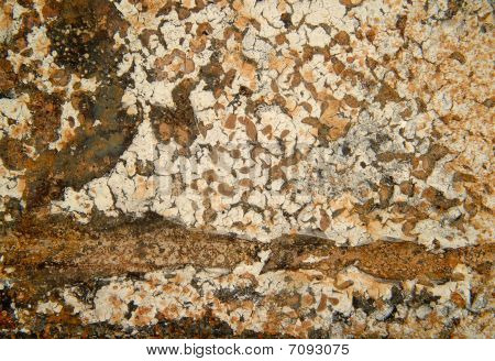Marcus Kett_macro_rust_002