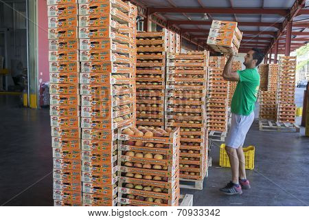 Products Of Agricultural Cooperative Of Naoussa Greece Carried In Boxes. The Famous 