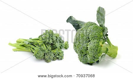 Broccoli Isolated On White Ackground