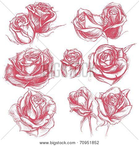Roses Drawing set