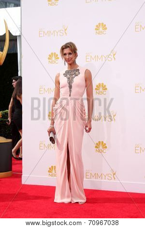 LOS ANGELES - AUG 25:  Alysia Reiner at the 2014 Primetime Emmy Awards - Arrivals at Nokia at LA Live on August 25, 2014 in Los Angeles, CA
