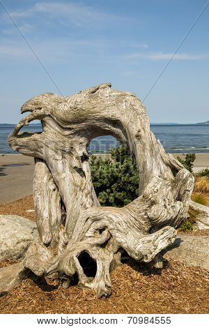 Driftwood