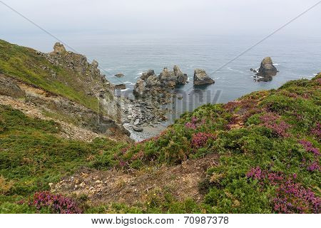 Ortigueira