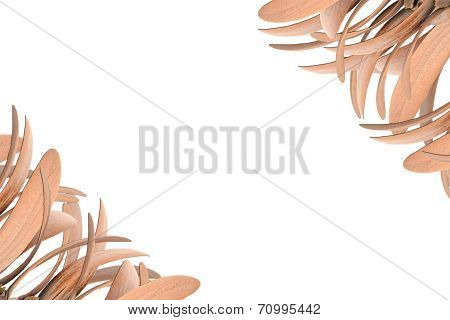 Flower Frame
