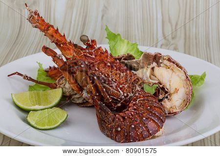 Spiny Lobster