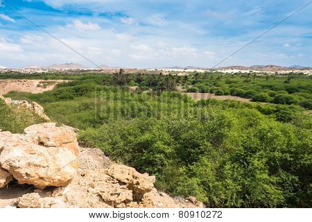 Oasis Near  Viana Desert, Boavista - Cape Verde