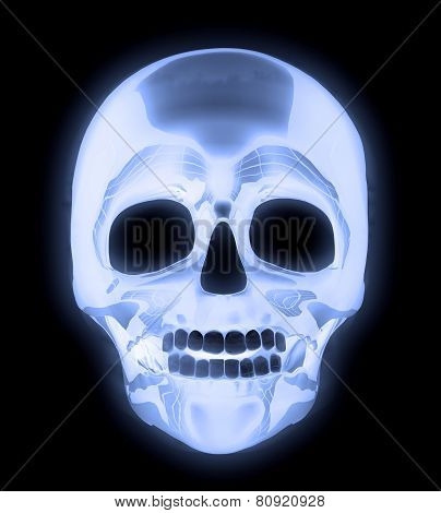 X-ray Human Skull