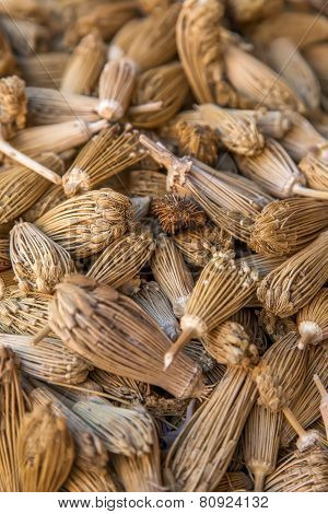 Berber Toothpicks