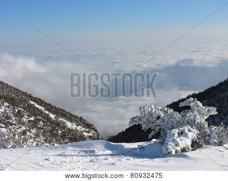 Fantastic evening winter landscape.