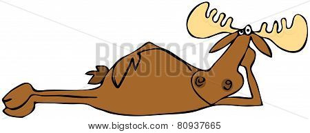 Relaxing moose
