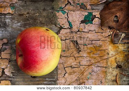 Forgotten Apple