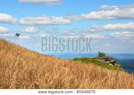 Bieszczady Mountains, Polonina Wetlinska