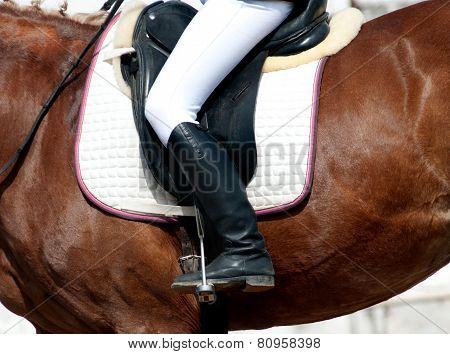 Rider On A Horse Closeup
