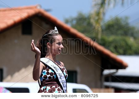 Ojai de 4 de julho desfile 2010