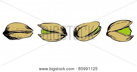 set of pistachio on white
