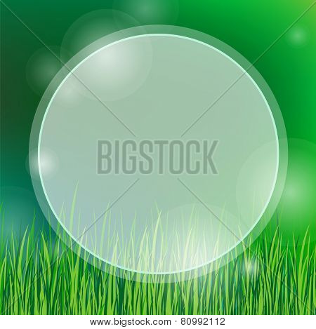 summer background with green grass. eps10
