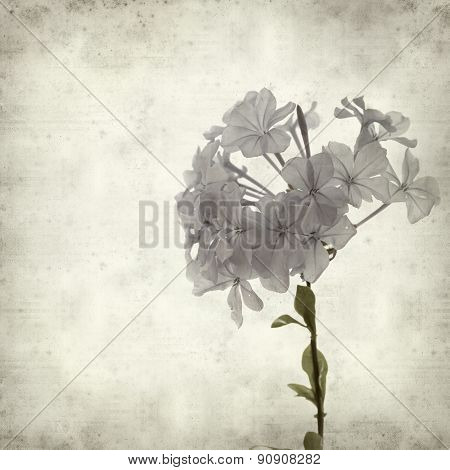 Textured Old Paper Background