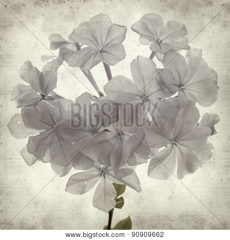 Textured Old Paper Background