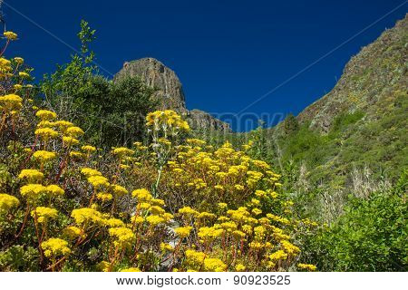 Inland Gran Canaria, Valsequillo Municipality