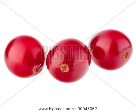 cranberry  isolated on white background cutout