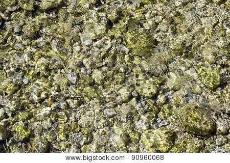 Detail Of River In The Alps