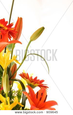 Flowers022