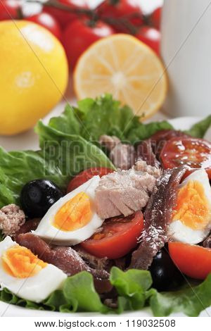 Salad Nicoise with tuna, anchovy, boiled eggs, olives and lettuce