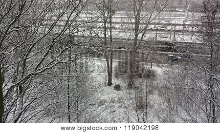 Winter in the city