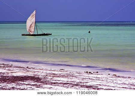 Costline Boat Pirague In The  Blue Lagoon Relax     Africa