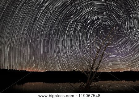 Beautiful Spiral Star Trails over lake, with old tree. Trails reflection in water.