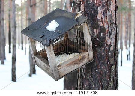 Old Feeding Trough