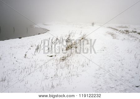 Foggy Winter Walk