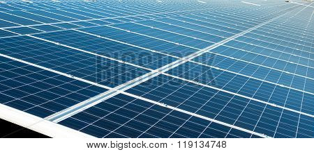 Solar Cell Panels In A Photovoltaic Power Plant