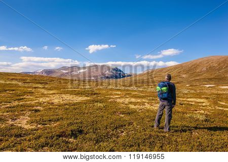 hiker with backpack traveling in Norway mountains Dovrefjell