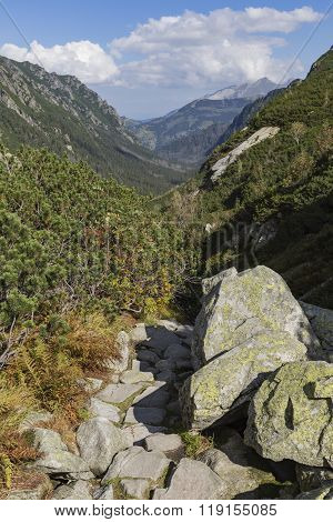 Poland - Tatra National Park In Tatra Mountains, Part Of Carpathian Mountains. Unesco Biosphere Rese