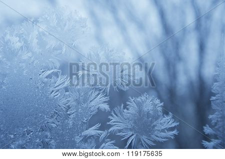 Winter Background