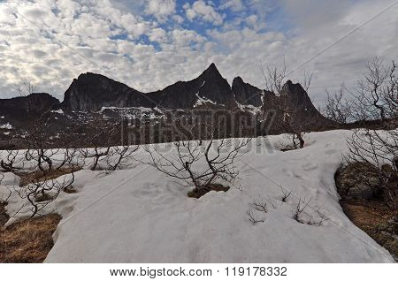 Norway, island Senja