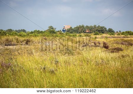Typical Hiddensee Heath Landscape With Blue Cottage