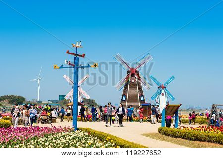 Daebudo Tulips Festival is the largest tulips festival in Korea.