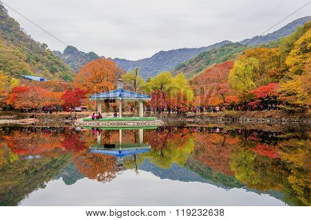 Tourists taking photos of the beautiful scenery around Naejangsan park,South Korea.