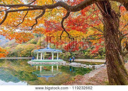 Tourists taking photos of the beautiful scenery around Naejangsan park,South Korea.