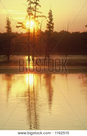 Dawn am See