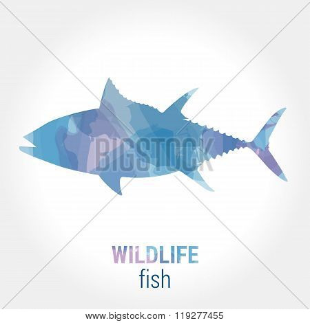 Wildlife banner - fish tuna