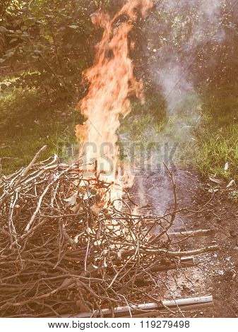 Burning Fire Vintage
