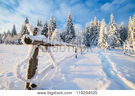 Winter Landscape
