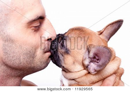 Lindo cachorrinho bulldog francês com um modelo masculino